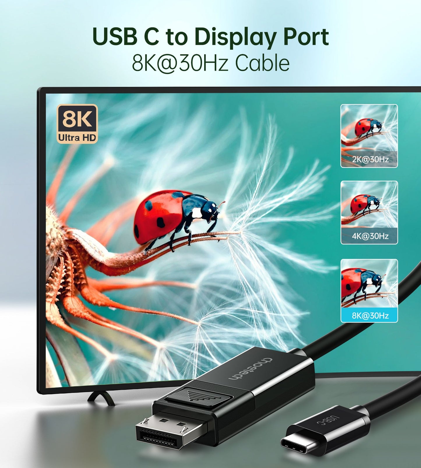 USB-C to DisplayPort Cable – 8K@30Hz, 6ft, Two-Way Support