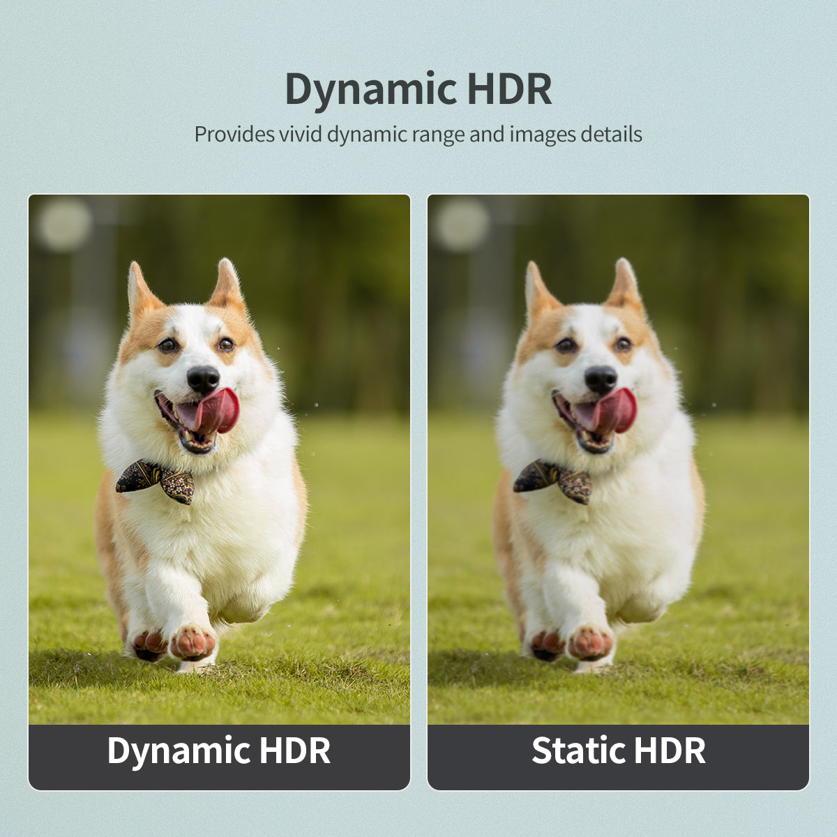 8K HDMI 2.1 Cable – 8K@60Hz, 48Gbps, 6.6ft Braided Cord