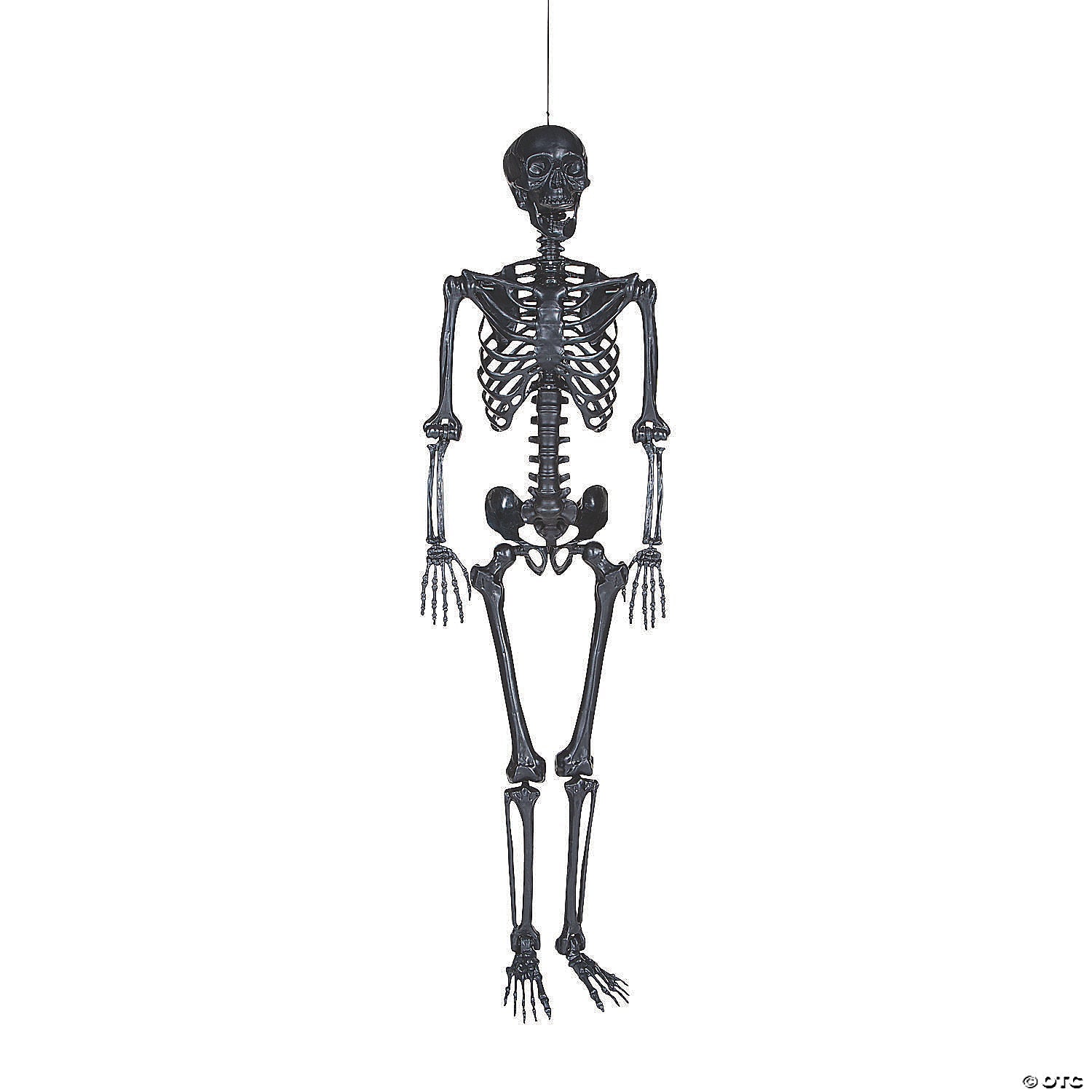 5 Ft. Life-Size Posable Black Skeleton Halloween Decoration