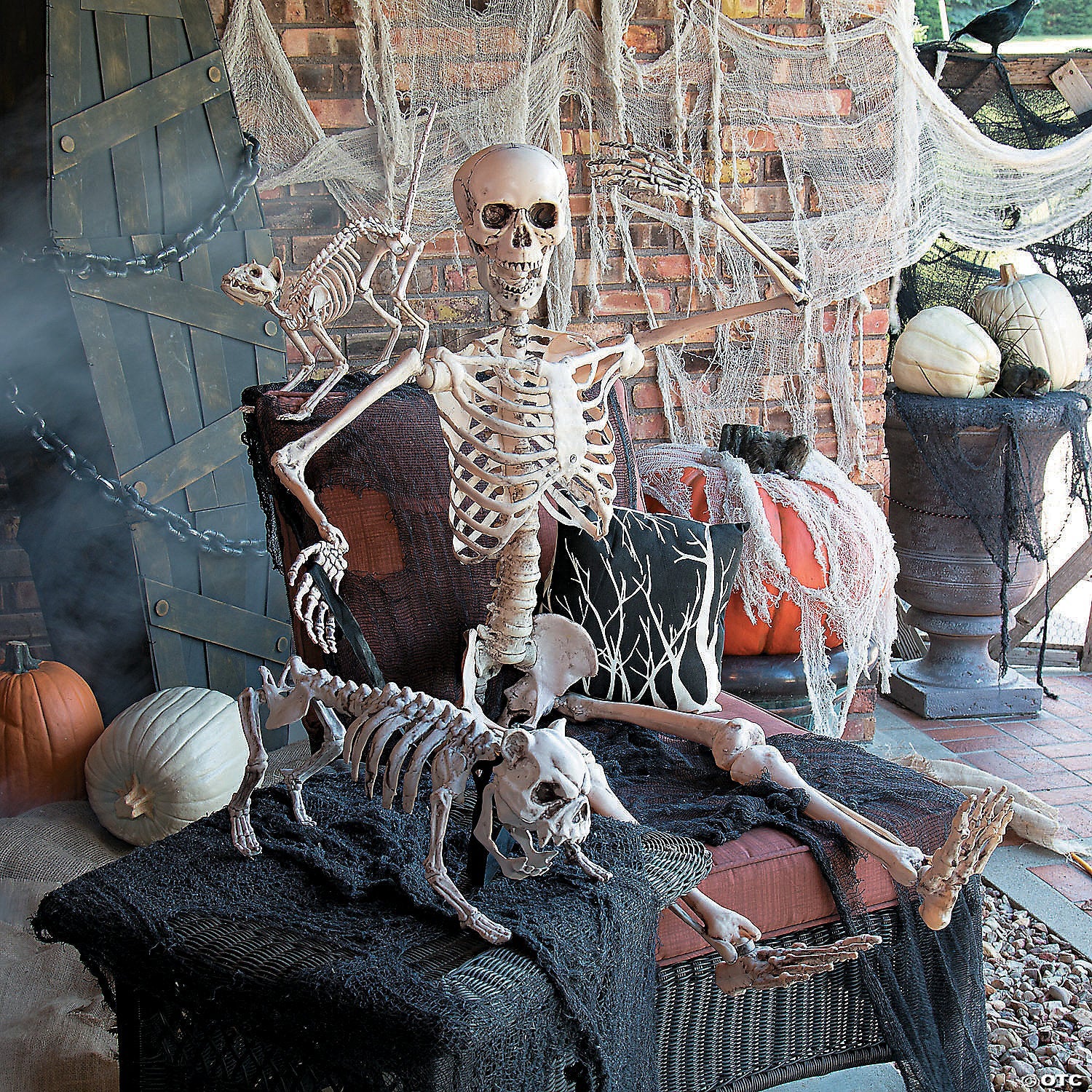 5 Ft. Life-Size Posable Plastic Skeleton Halloween Decoration