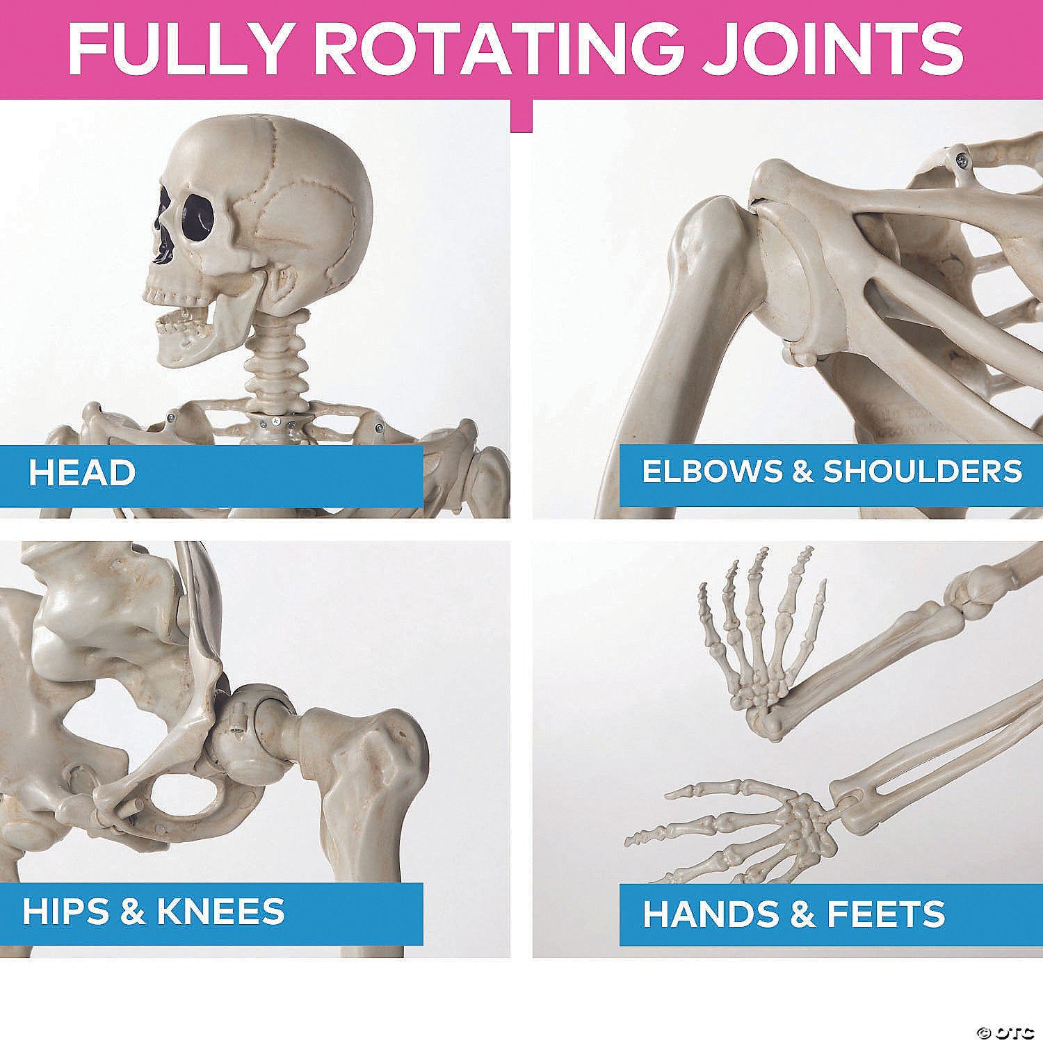 5 Ft. Life-Size Posable Plastic Skeleton Halloween Decoration