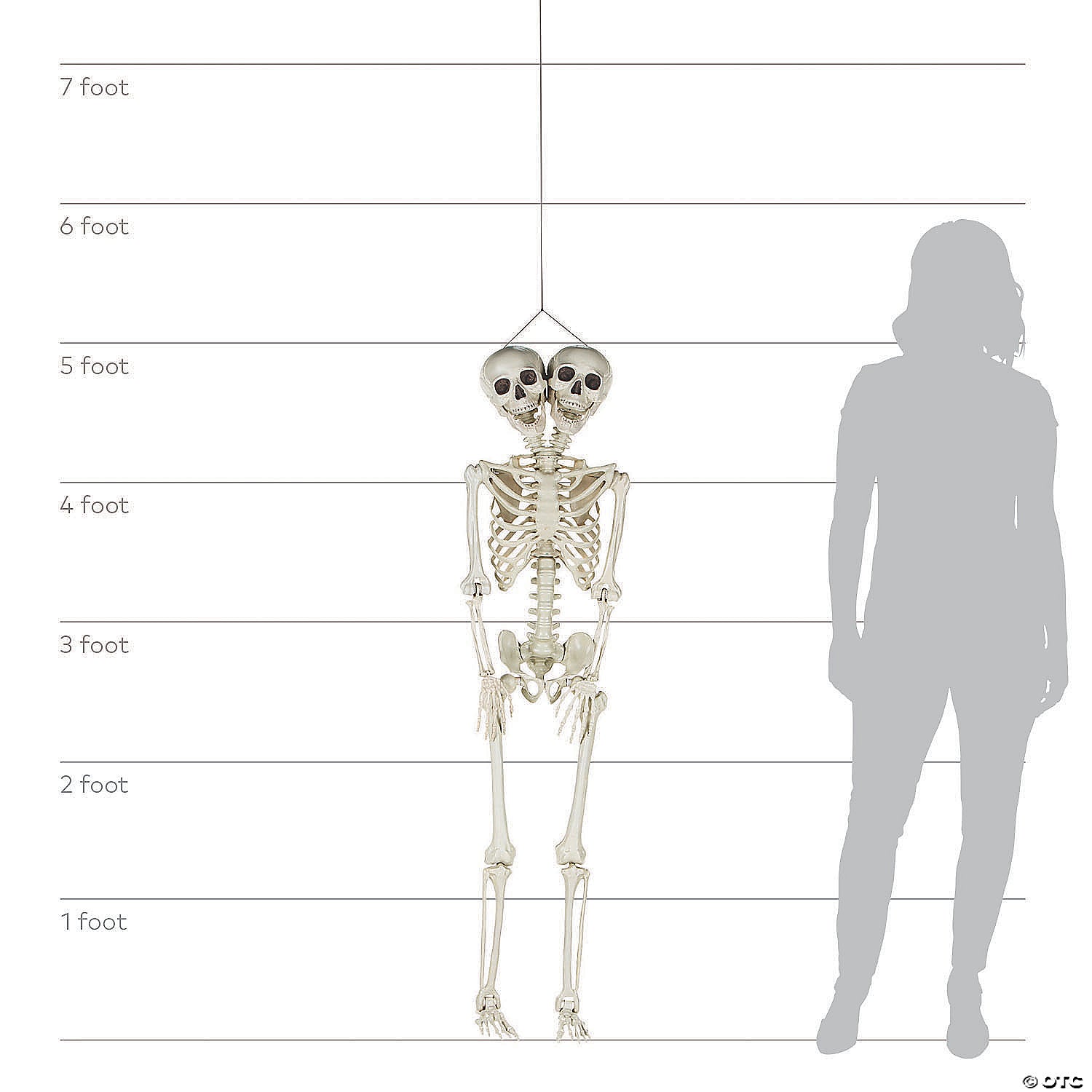 5 Ft. Two-Headed Life-Size Posable Skeleton Halloween Decoration