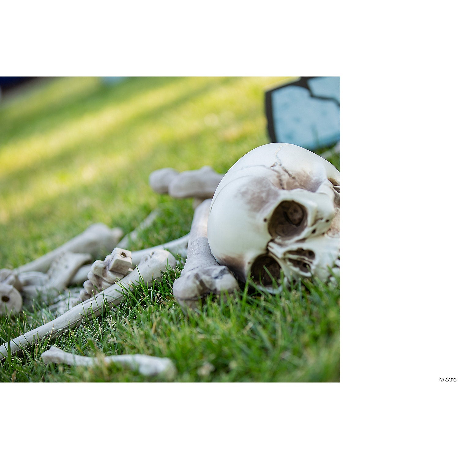 6" - 12" Bag of Human Bones Plastic Halloween Decoration - 28 Pc.
