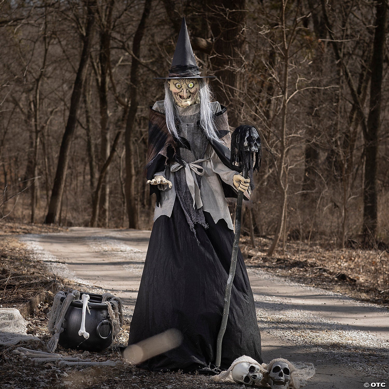 6 Ft. Animated Lunging Haggard Witch Standing Halloween Decoration