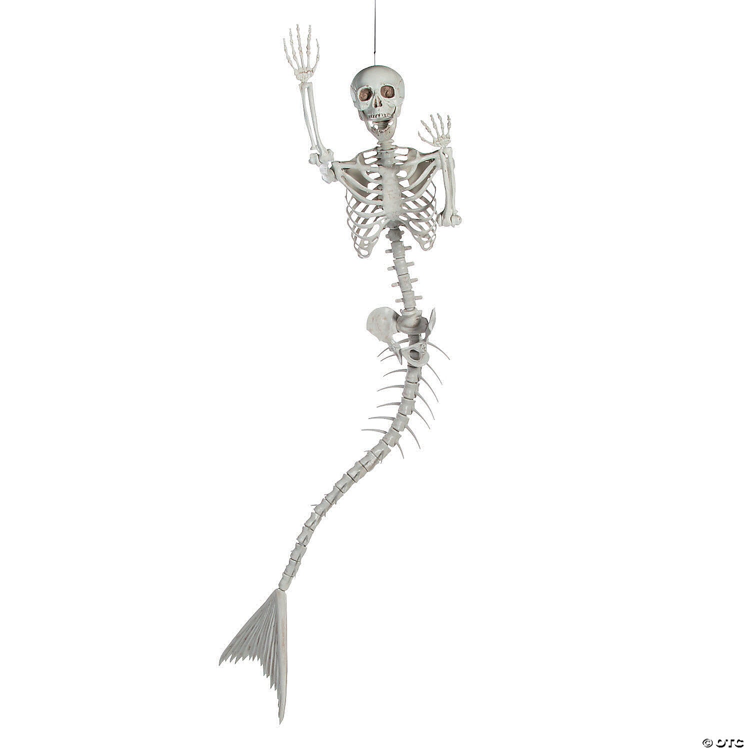 6 Ft. Life-Size Original Plastic Mermaid Skeleton Halloween Decoration