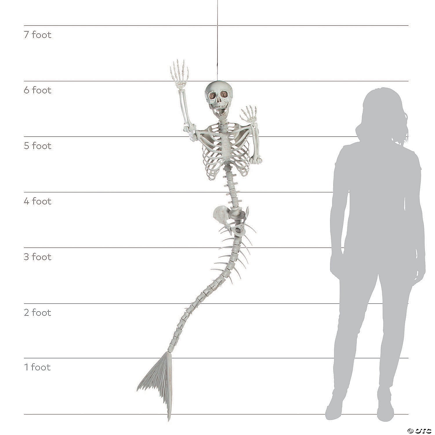 6 Ft. Life-Size Original Plastic Mermaid Skeleton Halloween Decoration